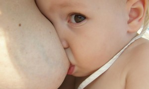 Läs mer om artikeln Bröstmjölkens smak beror på mammas kost